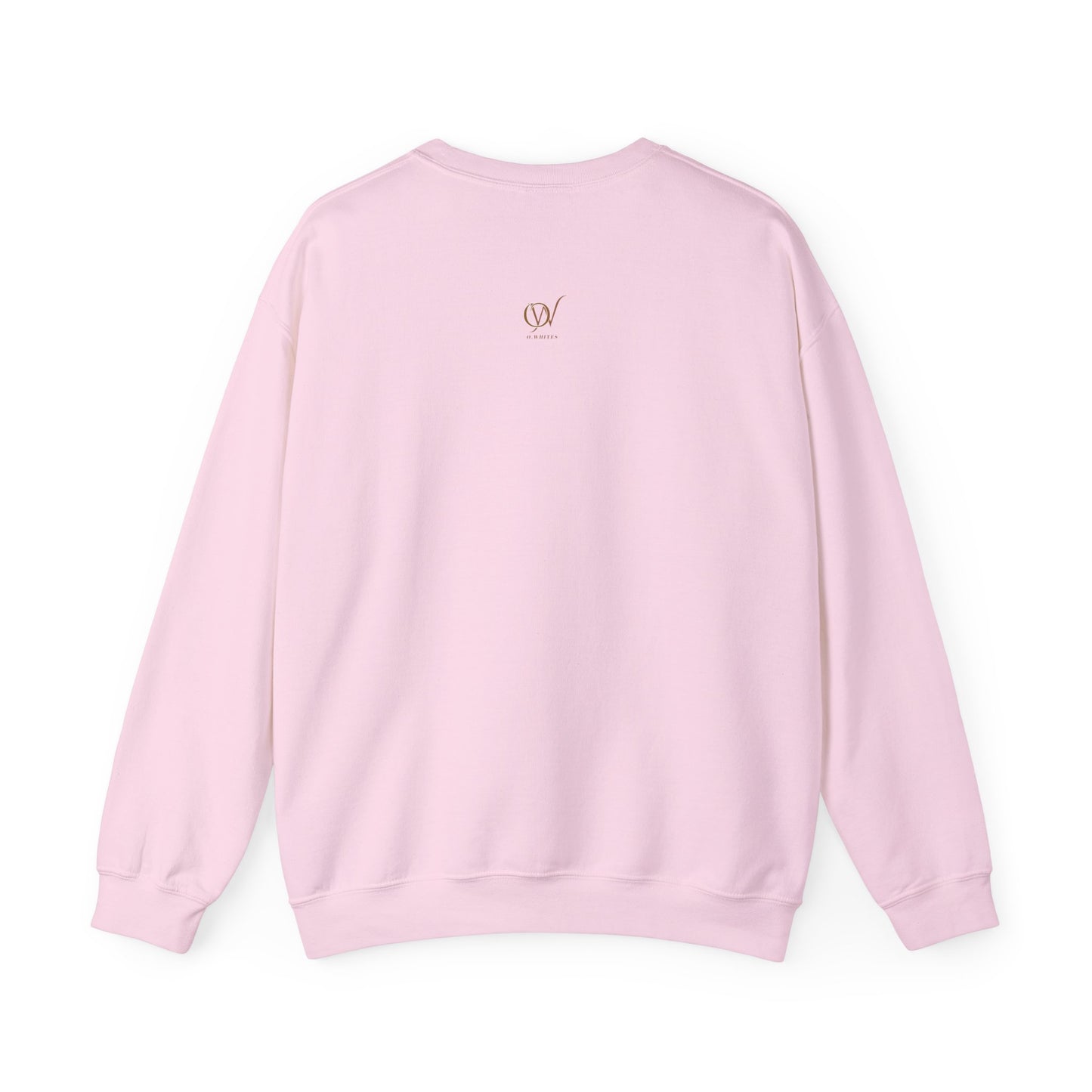 Painted Sweatshirt Cozy